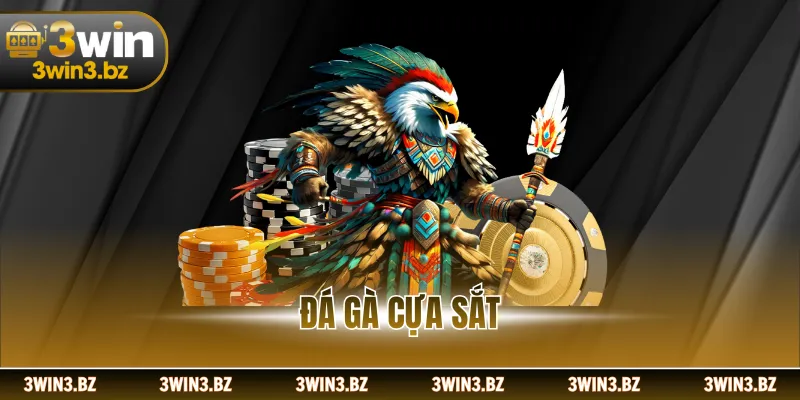 Đá Gà Cựa Sắt - Trận Đấu Gà Chọi Có Sức Hút Khó Cưỡng