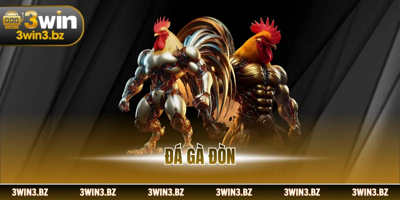 Đá Gà Đòn - Đấu Trường Chọi Kê Gay Cấn, Đầy Thú Vị