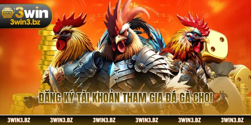 Đăng ký tài khoản tham gia đá gà chọi