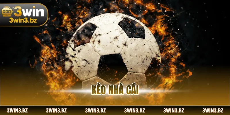 Kèo Nhà Cái - Thể Loại Cá Cược Thể Thao Gay Cấn, Thú Vị