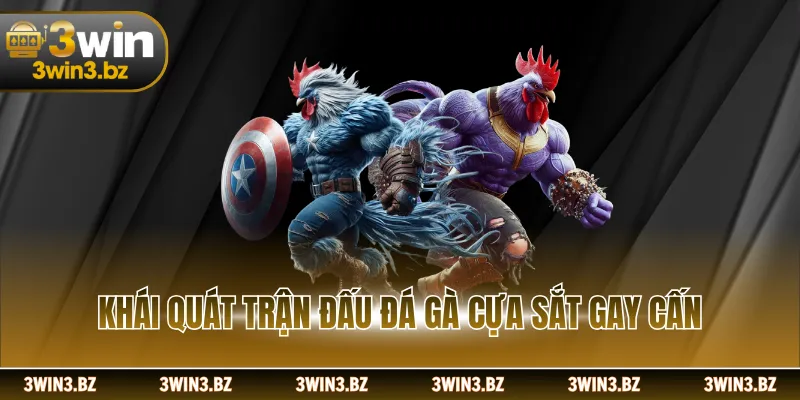 Khái quát trận đấu đá gà cựa sắt gay cấn