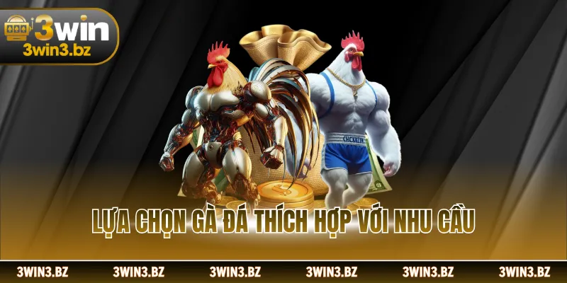 Lựa chọn gà đá thích hợp với nhu cầu