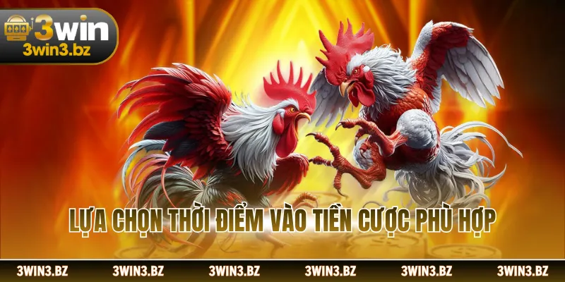 Lựa chọn thời điểm vào tiền cược phù hợp