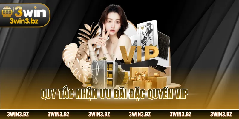 Quy tắc nhận ưu đãi đặc quyền VIP