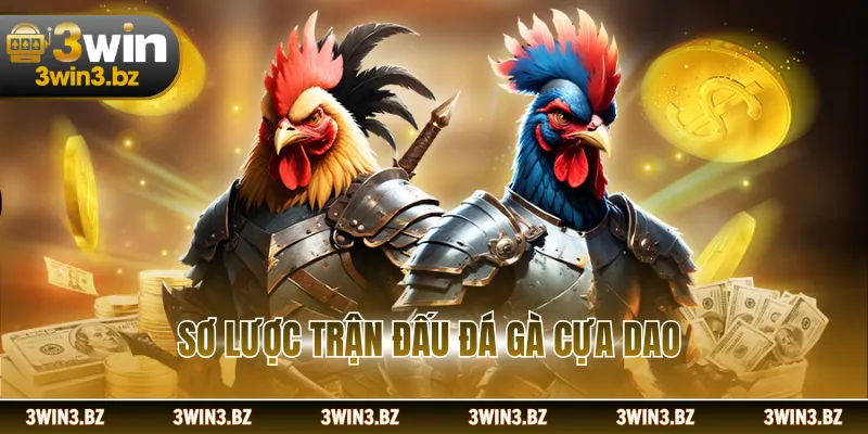 Sơ lược trận đấu đá gà cựa dao