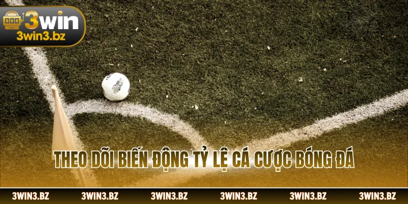 Theo dõi biến động tỷ lệ cá cược bóng đá