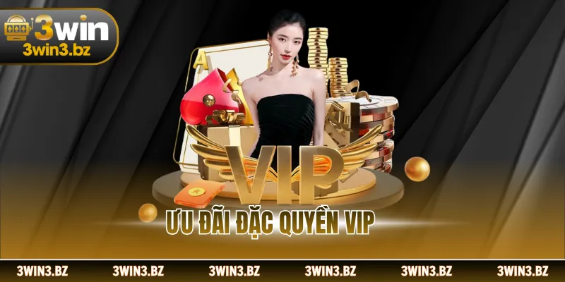 Ưu Đãi Đặc Quyền VIP Nhằm Tri Ân Thành Viên Lâu Năm